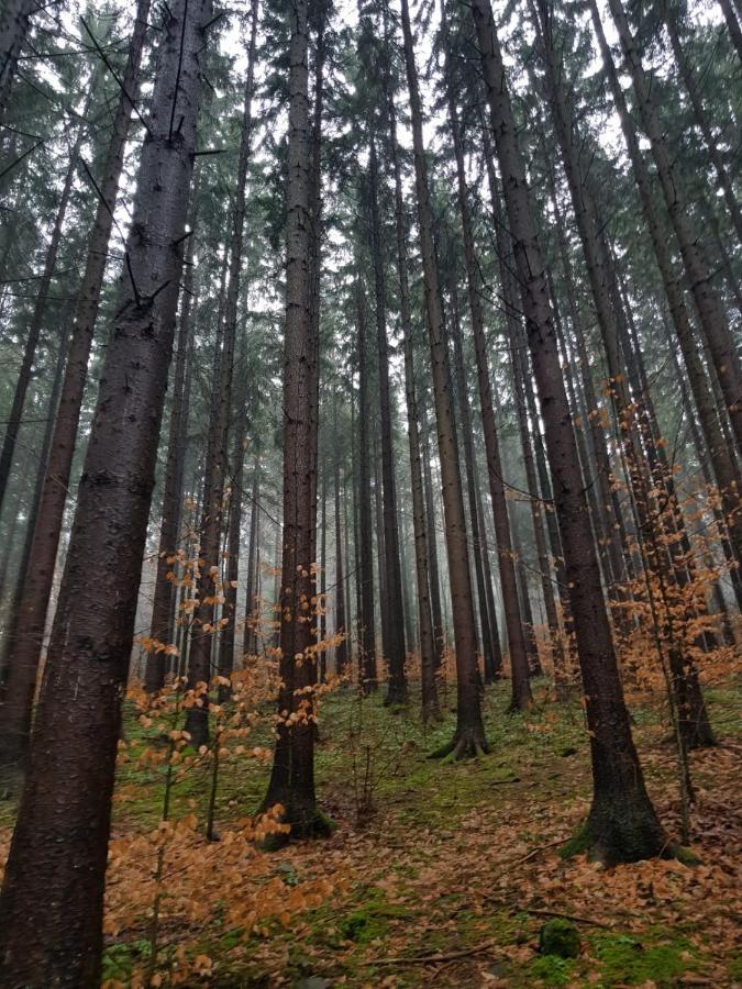 Horska Chata V Srdci Kremnickych Hor Banská Bystrica Buitenkant foto
