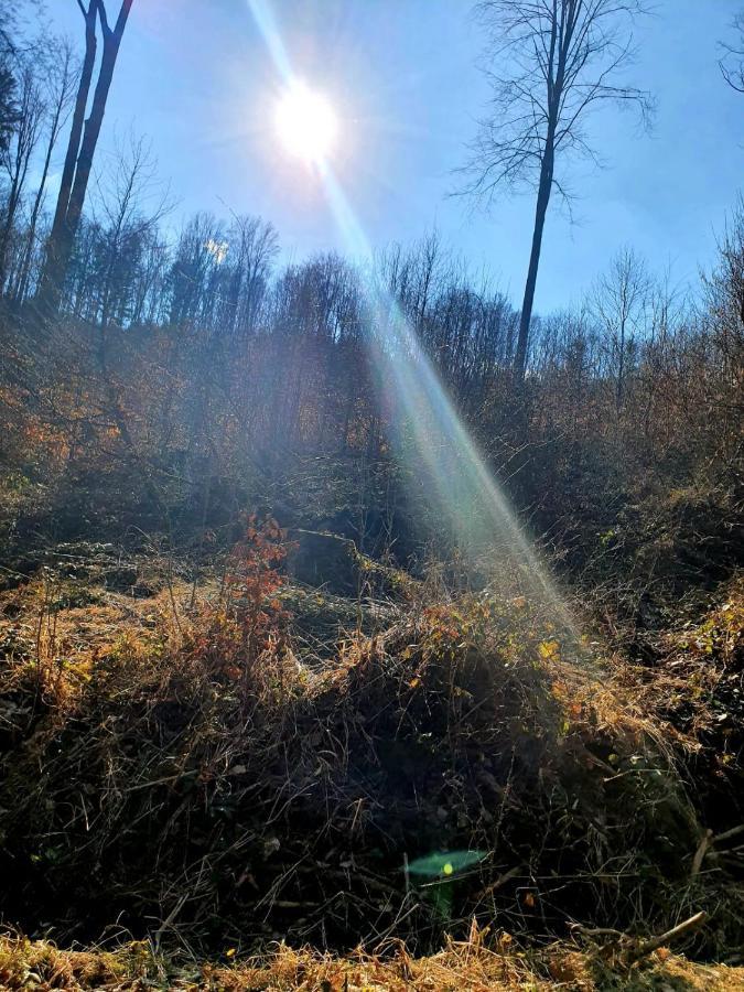 Horska Chata V Srdci Kremnickych Hor Banská Bystrica Buitenkant foto