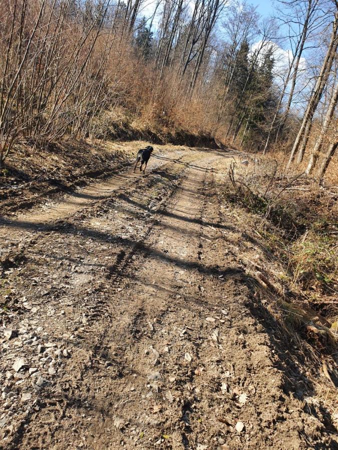 Horska Chata V Srdci Kremnickych Hor Banská Bystrica Buitenkant foto