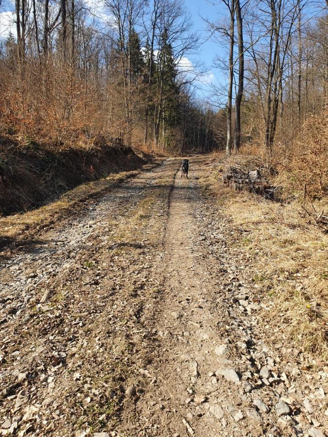 Horska Chata V Srdci Kremnickych Hor Banská Bystrica Buitenkant foto